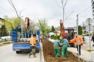 KO GRADI, MORA DA SADI: Niče novi drvored u Bulevaru Stepe Stepanovića u Banjaluci