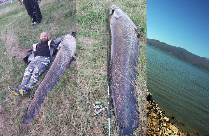 NEMAN DUGA PREKO DVA METRA: U Buškom jezeru ulovljeni ogromni somovi
