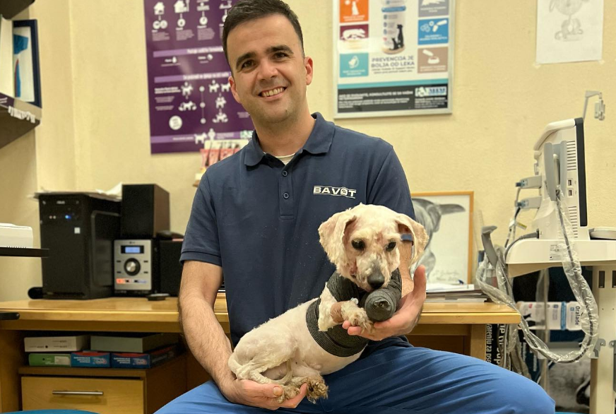 ОКО НАС ЖИВЕ НЕЉУДИ: Непозната особа псу сломила вилицу, спасио га бањалучки ветеринар