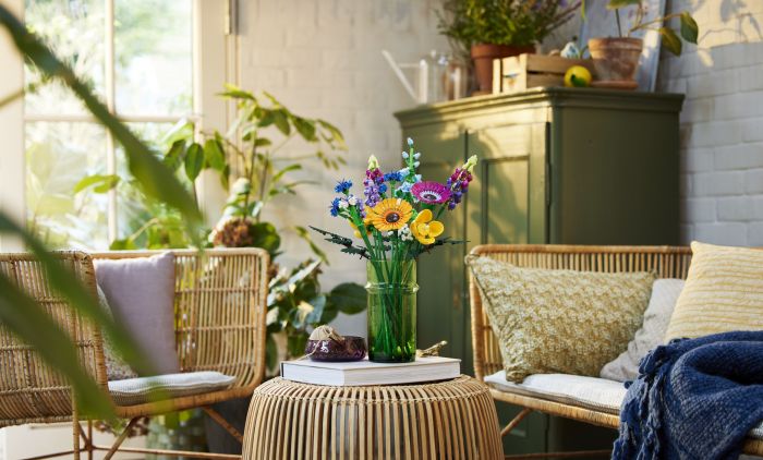 BILJKE KOJE PRIVLAČE NOVAC: Prema kineskom vjerovanju morate ih držati u određenim dijelovima doma