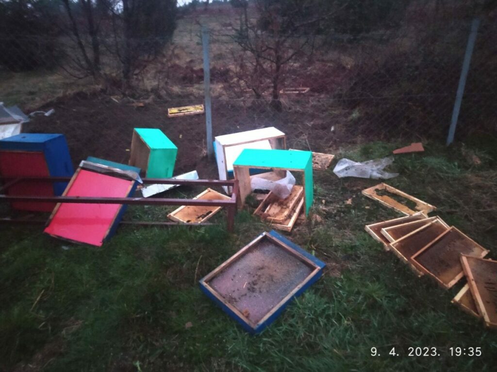 MJEŠTANI U STRAHU: Medvjed uništio pčelinjak u selu kod Kotor Varoša