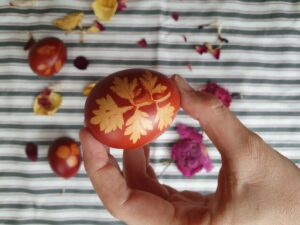 ŠTA SE RADI SA STAROM ČUVARKUĆOM? Jedino su 2 stvari ispravne