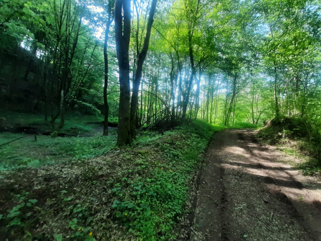 НОВЕМБАР У СВИМ БОЈАМА: Какво нас вријеме очекује ове седмице?