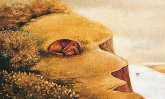 ŠTA PRVO VIDITE NA SLICI – PSA ILI LICE? Test otkriva puno o vašem karakteru i budućnosti