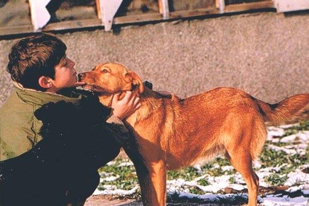 DIRLJIVA PRIČA IZ RATA: Keruša prešla 500 kilometra i pronašla vlasnike prognane u „Oluji“ (FOTO)