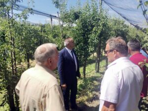 ČEKAJU NAS PAPRENE CIJENE NA JESEN: Infekcije prepolovile rod voća u Srpskoj
