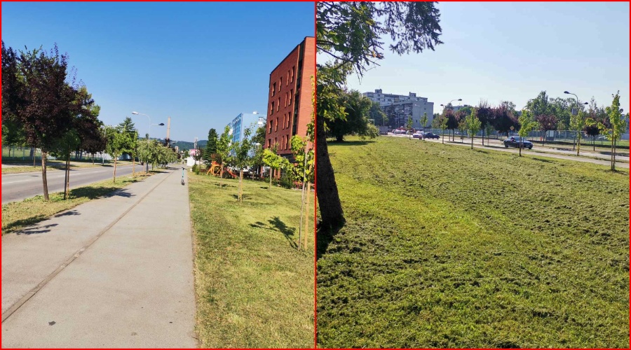 НАДЛЕЖНИ РЕАГОВАЛИ: Након писања „Новости“ покошена трава поред Кампуса, грађани задовољни (ФОТО)