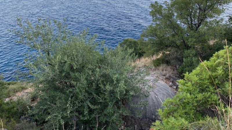 TRAGEDIJA NA MORU U ALBANIJI: Utopili se otac i dva maloljetna sina