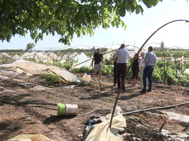 NEVRIJEME UZELO DANAK: Padavine i grad dotukli poljoprivrednike u Srpskoj