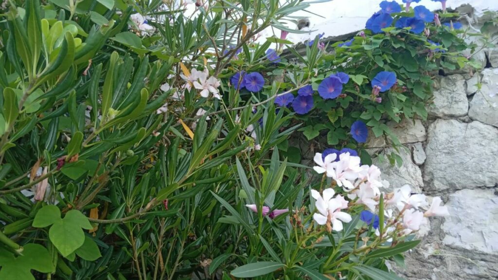 VRIJEME DANAS: Danas promjenljivo oblačno i toplo