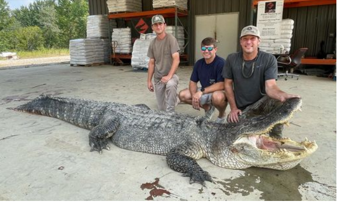 TIK PRED ZORU KRENULI U ODVAŽNU POTRAGU: Lovci opisali borbu sa najvećim ikada ulovljenim aligatorom (FOTO)