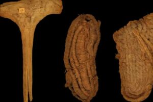 VELIKO OTKRIĆE: Pronađene najstarije cipele u Evropi