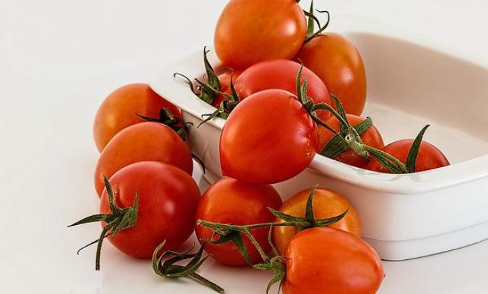 „NEĆETE GA PREPOZNATI NAKON DVA DANA“: Stavite četiri kašičice sode bikarbone oko paradajza