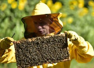 ВРИЈЕДНИ ДЕВЕТНАЕСТОГОДИШЊАК: Марко Брезо из Праче најмлађи пчелар у БиХ