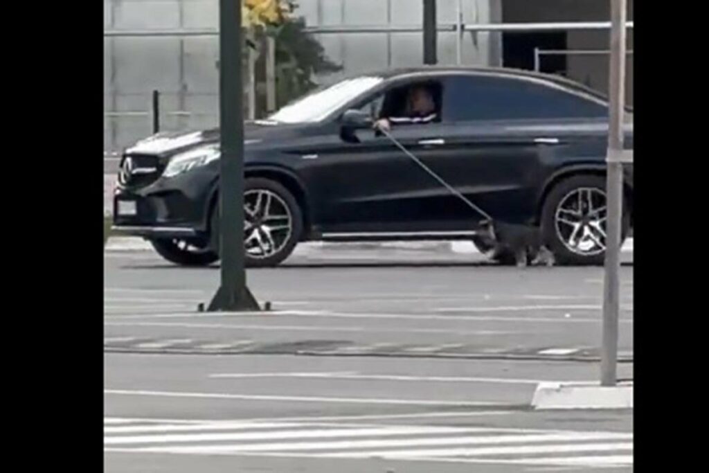 NEVIĐENO BAHAĆENJE: Kroz prozor automobila prošetao psa po ulici (VIDEO)