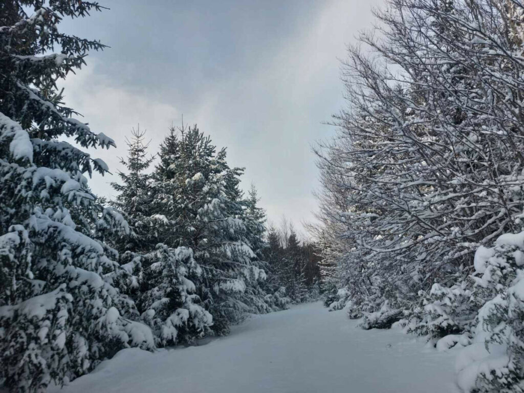 PUTEVI PROHODNI: Na području Istočnog Drvara snijeg 15 centimetara