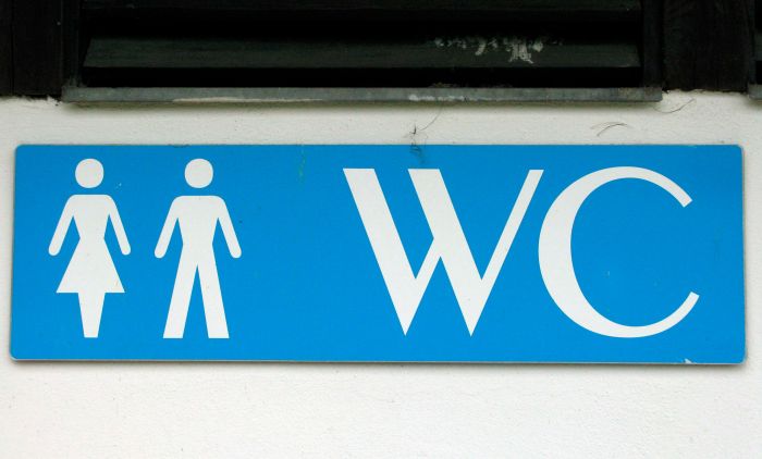IZNENADIĆETE SE: Evo šta zapravo znači „WC“