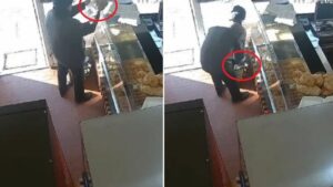 SRAMOTAN POTEZ: Kamere snimile lopova kako u pekari krade kasicu za prikupljanje humanitarne pomoći