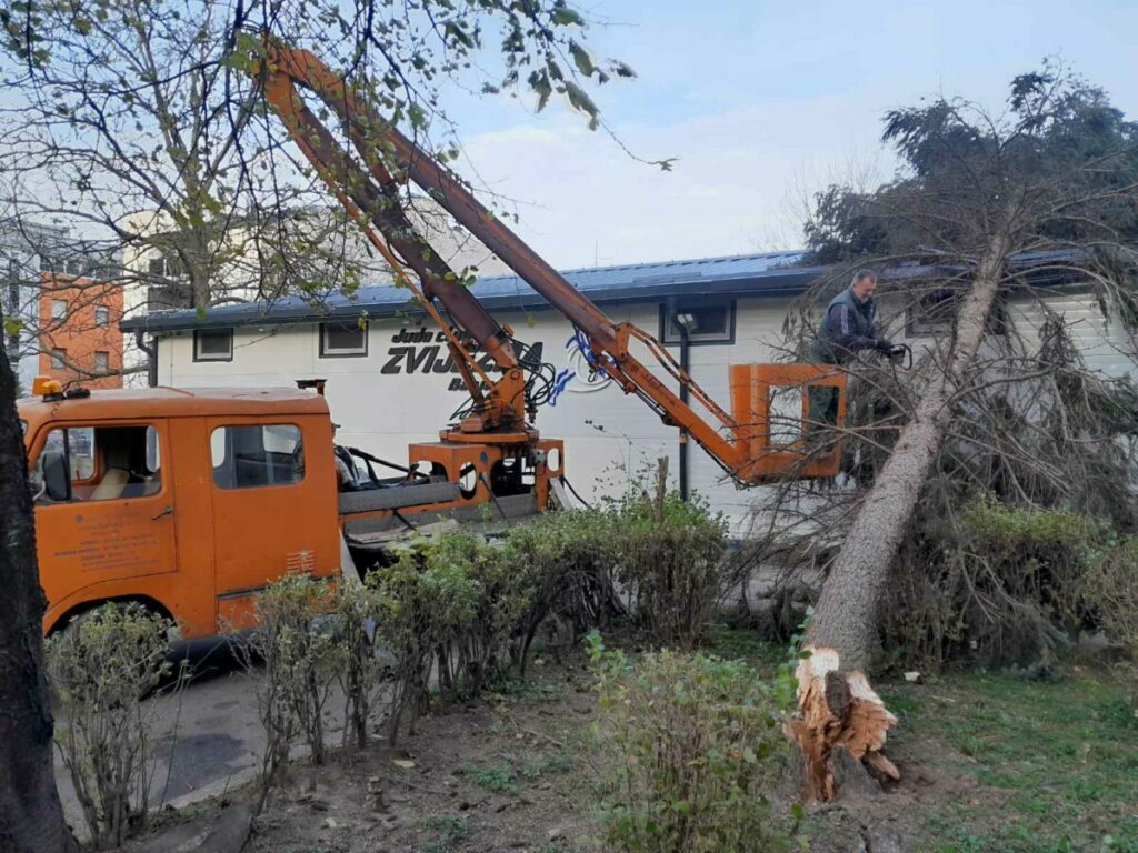 POSLJEDICE JAKOG VJETRA U BANJALUCI: Nadležne službe od sinoć na terenu, uklanjaju porušena stabla
