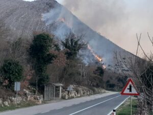 GORI NISKO RASTINJE: Požar u blizini kuća u selu Mrkonjići