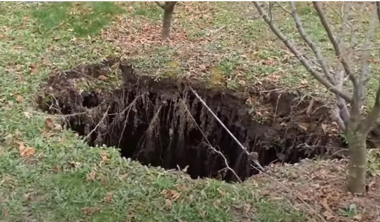 POJAVILA SE NIOTKUD: Ogromna rupa na plantaži lješnjaka u Gornjem Vakufu (VIDEO)
