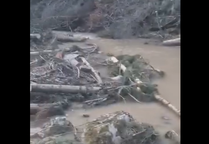 EKOCID KOD KNEŽEVA: Rijeka zatrpana trupcima i blatom (VIDEO)