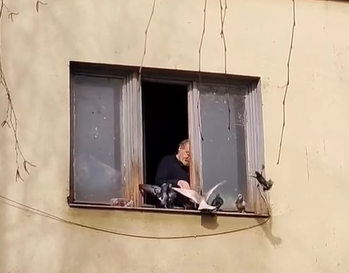 PRIZOR U BANJALUCI OSTAVLJA BEZ RIJEČI: Uz mrvice suvog hljeba golubovi postaju jako dobri prijatelji (VIDEO)