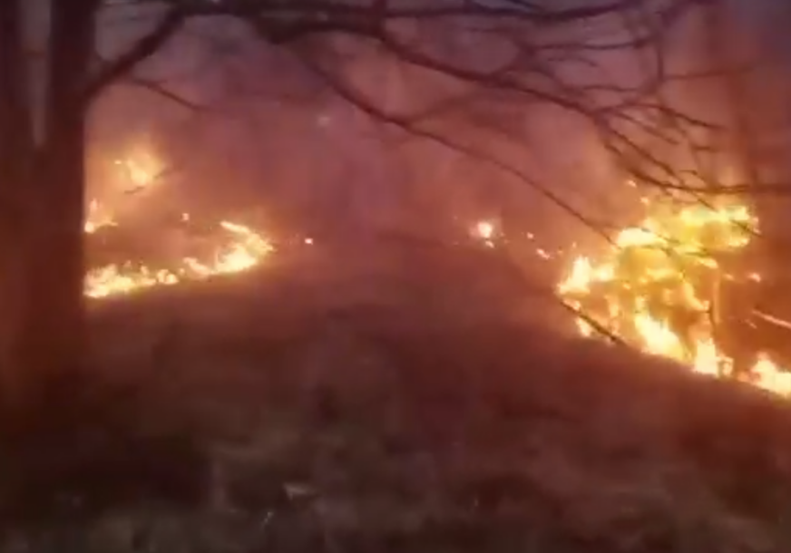 VELIKI POŽAR NA BJELAŠNICI: Vatrogasci pokušavaju obuzdati širenje vatre na okolna područja
