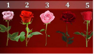 ТЕСТ ПОДСВИЈЕСТИ: Изаберите једну ружу и откријте да ли ће вам се испунити највећа жеља