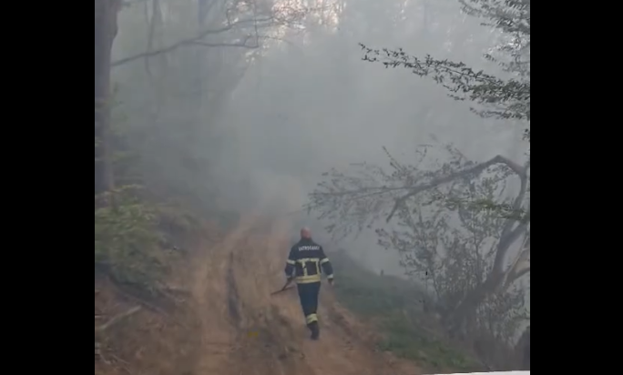 ВАТРА СЕ НЕКОНТРОЛИСАНО ШИРИ: Велики шумски пожар код Котор Вароша (ВИДЕО)