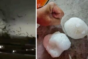 „OVO JE BIO KAO ARMAGEDON“ Jug Kine zahvatio tornado, padao grad veličine jajeta (VIDEO)