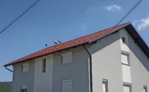 ATRAKCIJA U BANJALUCI: Rode obradovale mještane banjalučkog naselja (VIDEO)