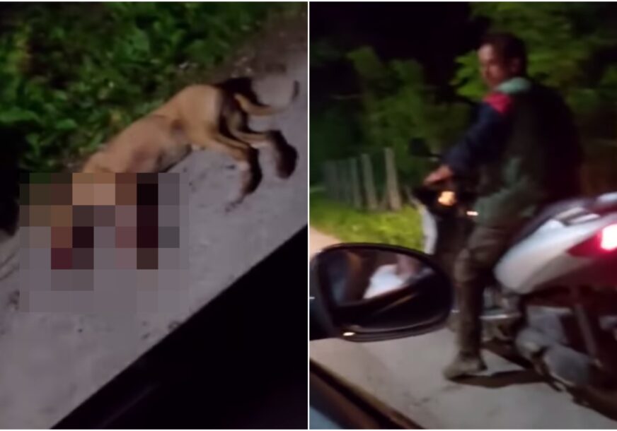 SVIREPO UBISTVO U ZVORNIKU: Zakačio psa za skuter i vukao ga, dok životinja nije uginula