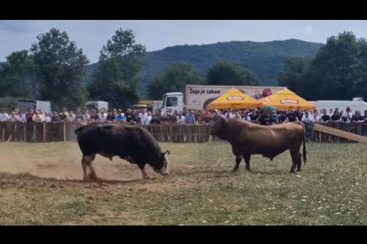LJUDI SU IZBEZUMLJENO BJEŽALI: Bik tokom borbe uletio među publiku i napravio pravu dramu u BiH (VIDEO)