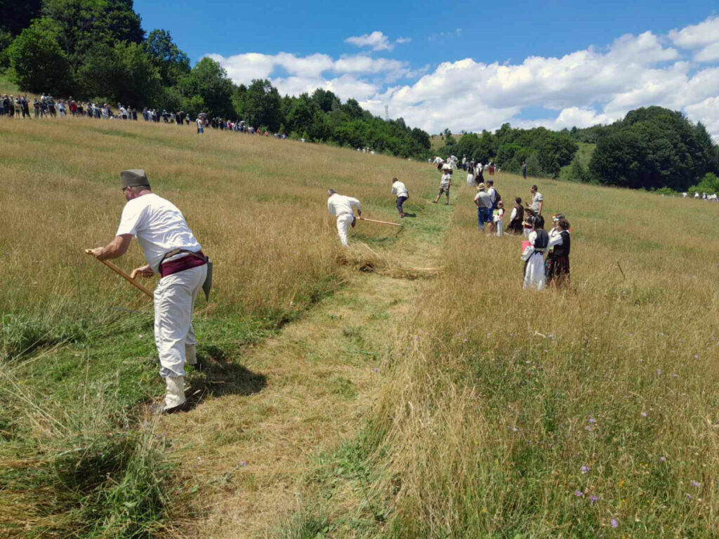 OBIČAJI NAŠIH PREDAKA NISU ZABORAVLJENI: Održani „Dani kosidbe na Balkani“ (FOTO)