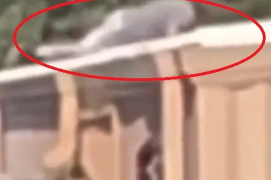 SVJEDOCI UPIRU U NAPADAČA PRSTOM I VIČU, A POLICIJA NE REAGUJE: Isplivao novi snimak atentata na Trampa (VIDEO)