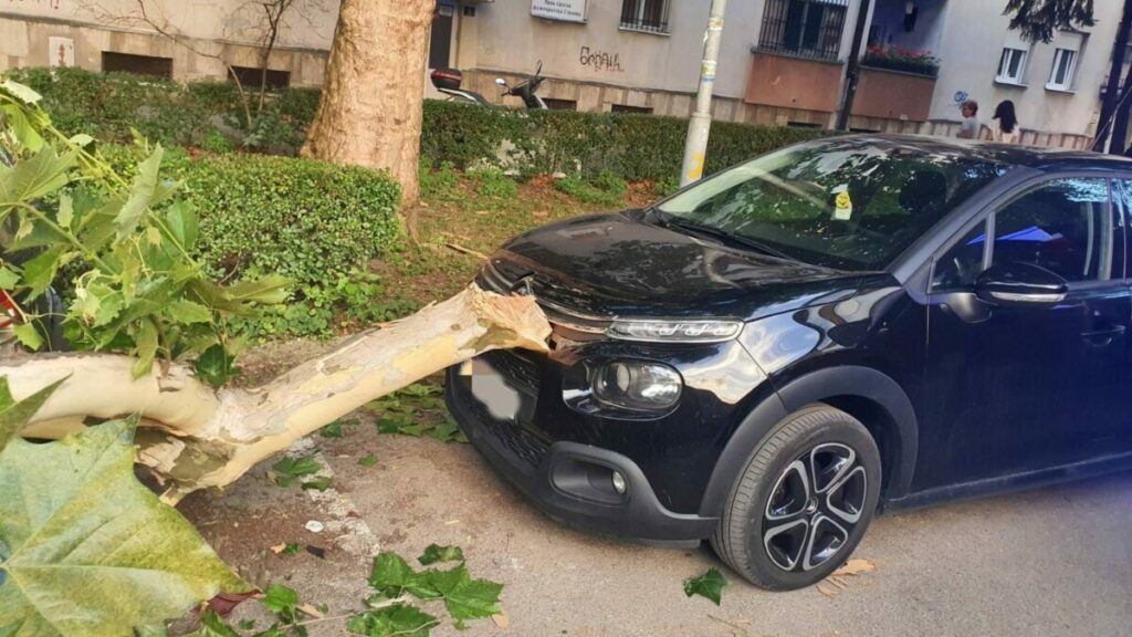 ЗАКРЧЕН ПУТ: Огранак здравог стабла пао и оштетио аутомобил у Бањалуци (ФОТО)