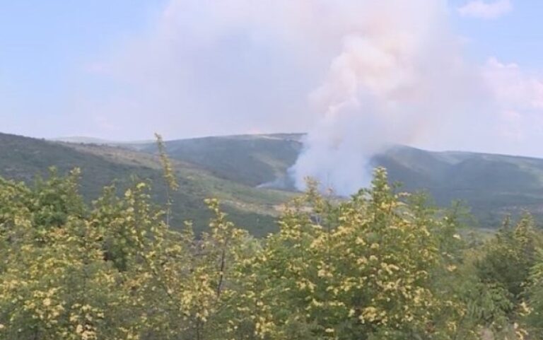 ГРОМ ИЗАЗВАО ПОЖАР: Након вишечасовне борбе угашена ватрена стихија код Љубиња