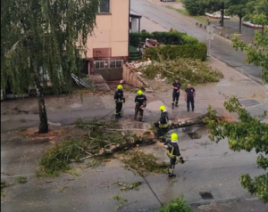 ВАТРОГАСЦИ ИМАЛИ ПУНЕ РУКЕ ПОСЛА: Невријеме обарало стабла у Бањалуци (ФОТО)