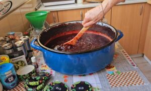 TRADICIONALNI RECEPT ZA DŽEM OD ŠLJIVA: Napravite ga kao što su ga spremale naše bake