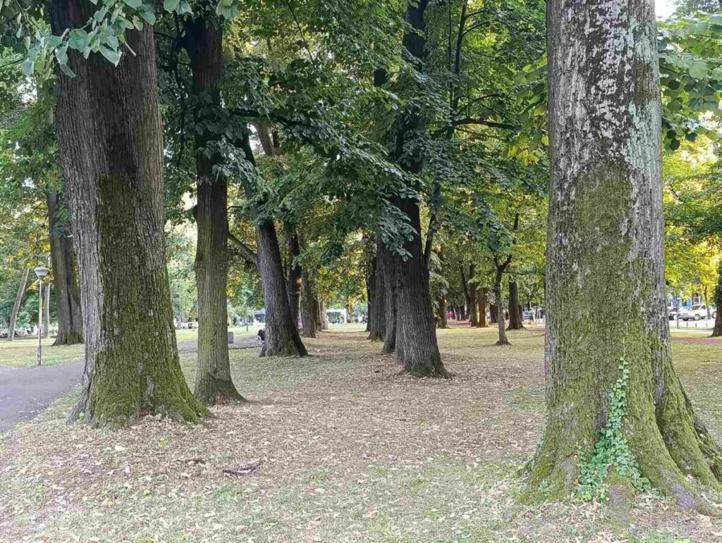 JESEN POKAZALA ZUBE: Meteorolozi otkrivaju kada će se vratiti nešto toplije vrijeme