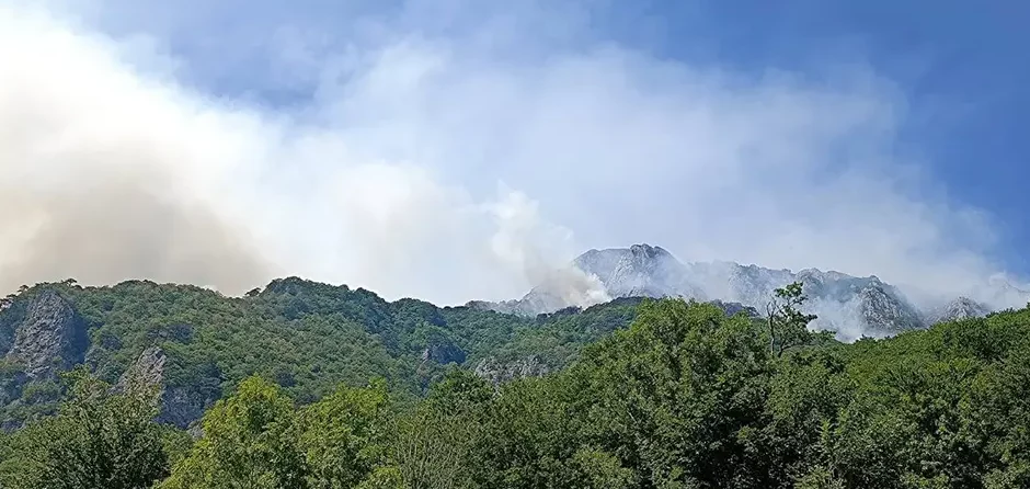 VATRENA STIHIJA: Ponovo gori na obroncima Zelengore