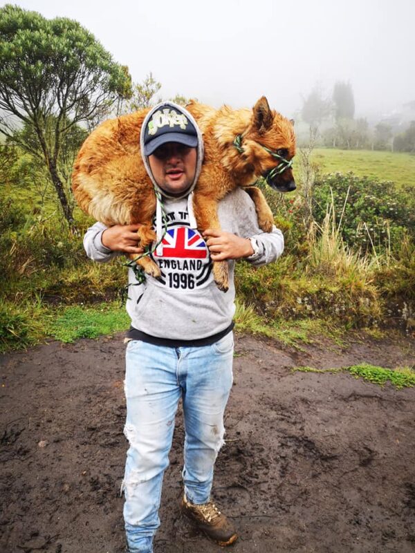 „NJENO TIJELO VIŠE NIJE MOGLO DA IZDRŽI“: Danijel rizikovao život da spasi napuštenog psa vezanog u šumi (FOTO)