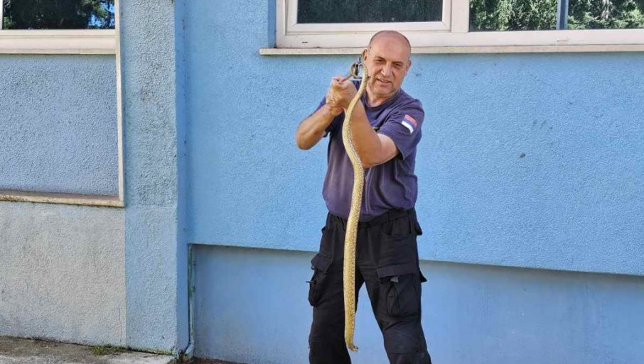 POSKOCI I ŠARKE PRIJETE SA SVIH STRANA: U Trebinju posljednjih dana brojni građani tražili pomoć zbog zmija