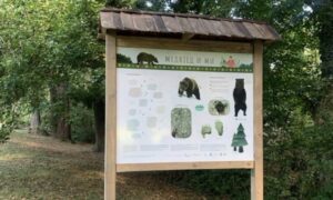 MEDVJEDI ŠETAJU ŠUMOM: Na tablama na Banj brdu postavljene table upozorenja
