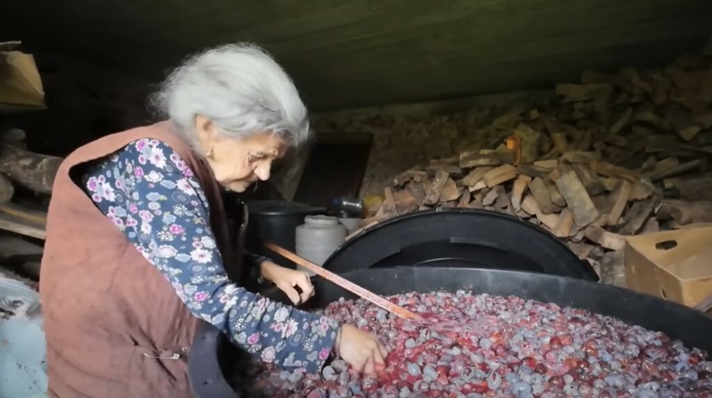RAKIJU DIJELI PRIJATELJIMA: Baka Mare ubrala tonu šljiva (VIDEO)