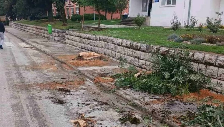 ZBOG SJEČE STABALA, OSUDE SA SVIH STRANA? Rekonstrukcija glavne ulice u Gacku izazvala negodovanje stanovnika