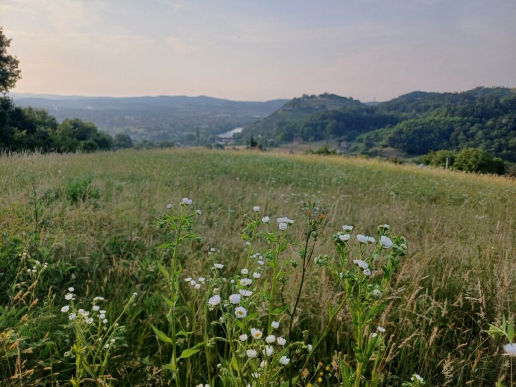 ДАНАС ТОПЛО ВРИЈЕМЕ: Погледајте какве нас температуре чекају