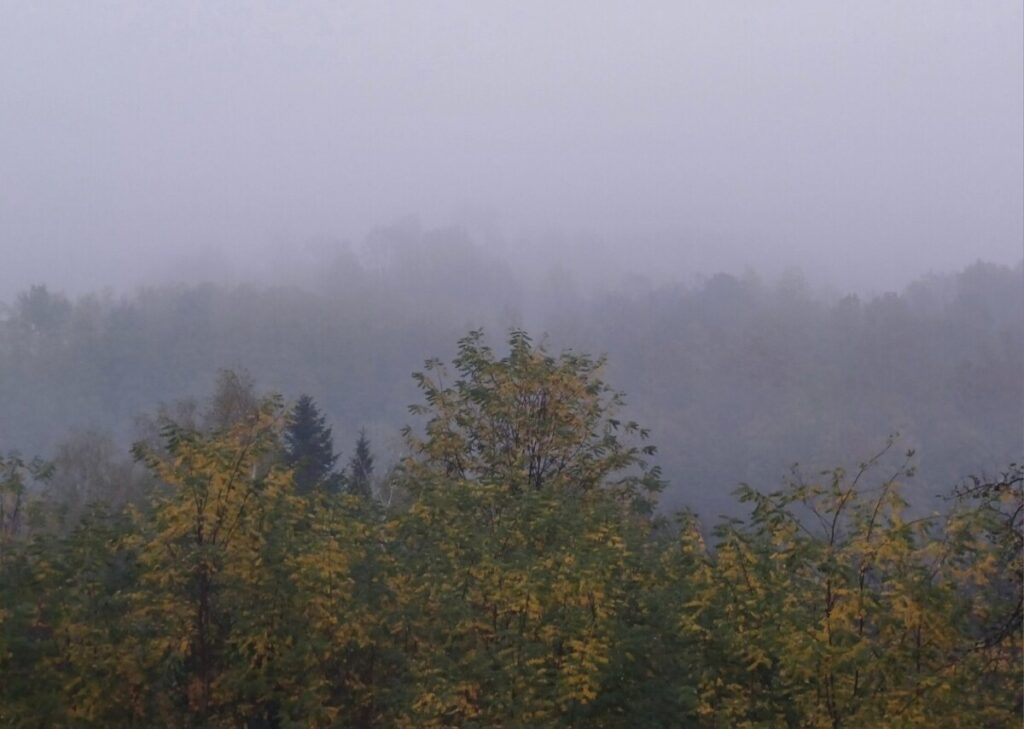 НАРЕДНИХ ДАНА НАС ОЧЕКУЈУ ХЛАДНА И МАГЛОВИТА ЈУТРА: Погледајте какво ће вријеме обиљежити почетак новембра