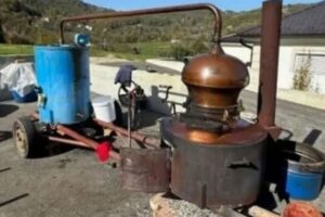 TRADICIJA SE MORA POŠTOVATI: Proslavljeni fudbaler Bajerna peče rakiju u BiH (FOTO)